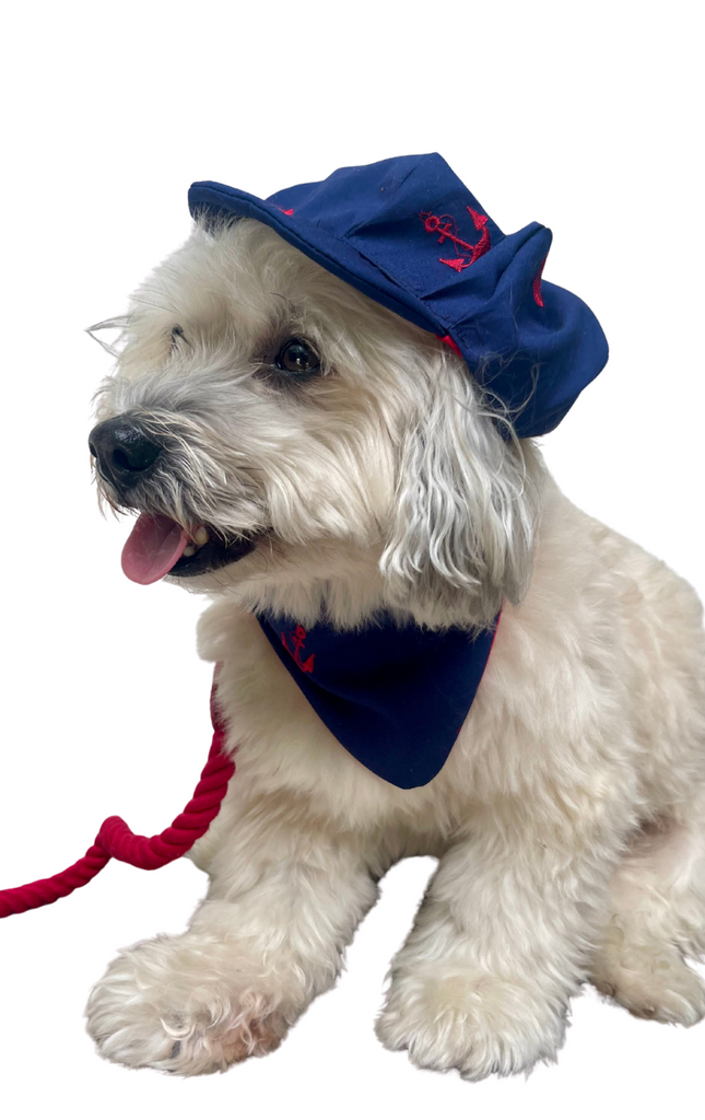 The Ahoy Polloi Doggy Newsboy Cap