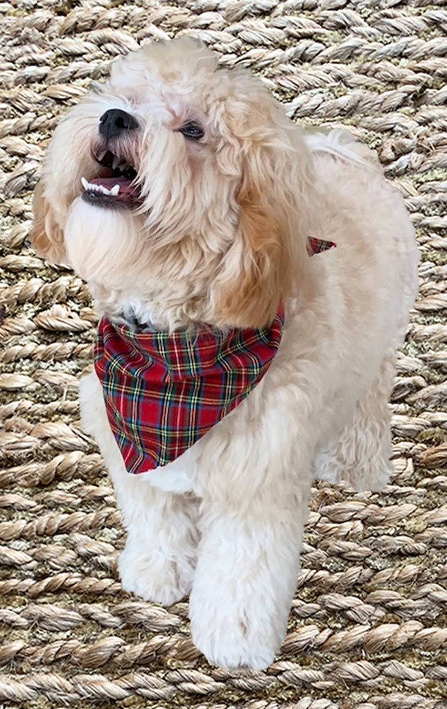 Holiday Doggy Bandana - Reversible