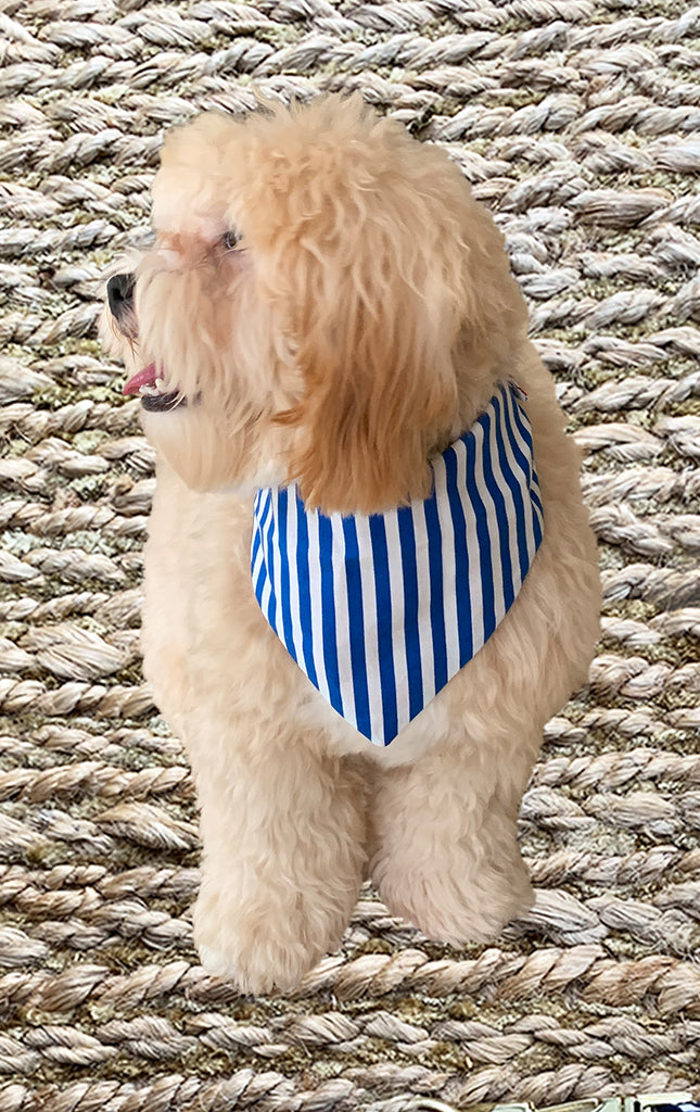 Holiday Doggy Bandana - Reversible