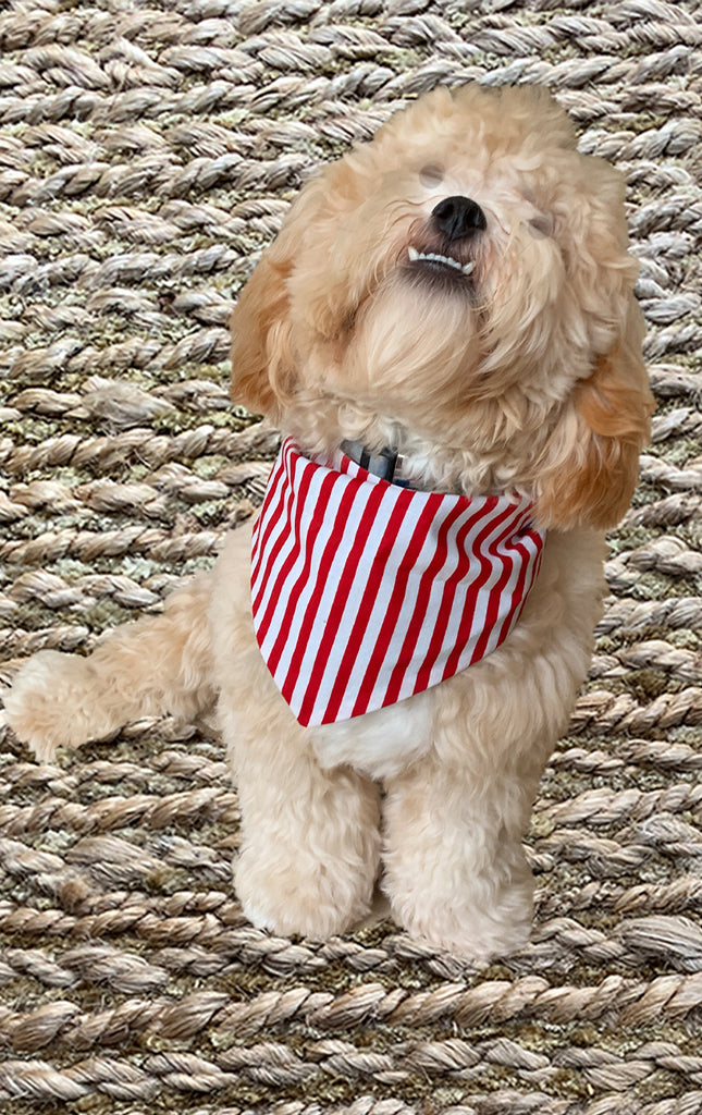 Holiday Doggy Bandana - Reversible