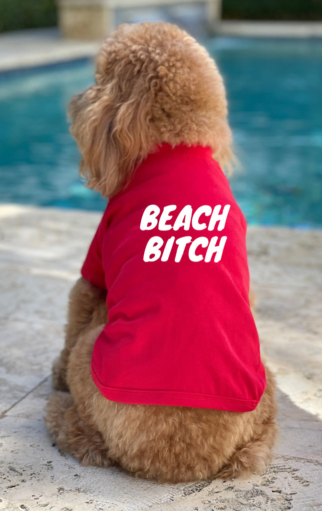 Dog-T-shirt