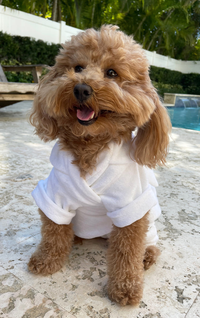 Terry Dog Kimono